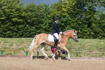 Bild 384 - Pony Akademie Turnier
